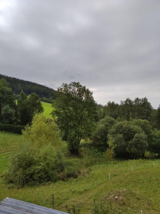 Frantiskov 17 Apartment Rokytnice nad Jizerou Luaran gambar