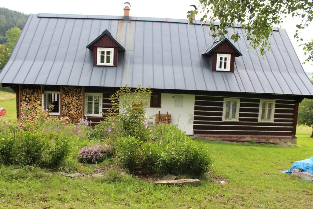Frantiskov 17 Apartment Rokytnice nad Jizerou Luaran gambar