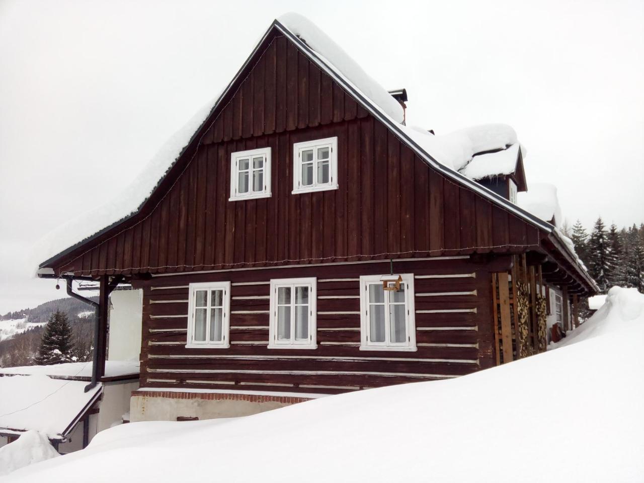 Frantiskov 17 Apartment Rokytnice nad Jizerou Luaran gambar
